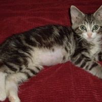 Kathleen Reese Photo 12