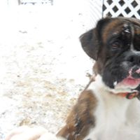 Jennifer Minter Photo 41