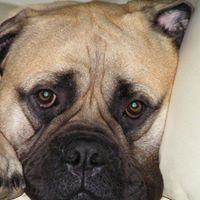 Mark Jacobs Photo 22 Mark Jacobs Photo 22