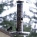 Shelia Turner Photo 36