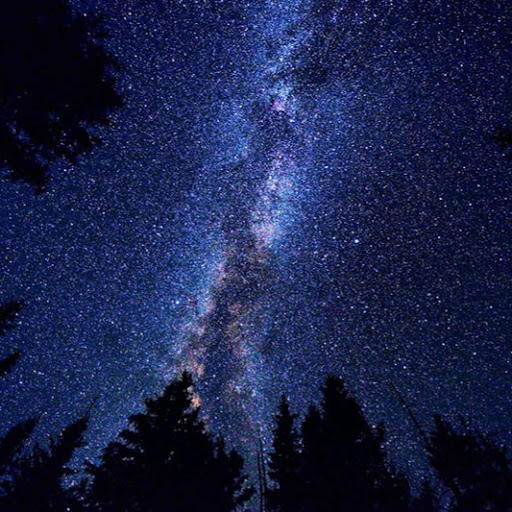 Paul Morris Photo 54