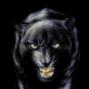 Tommy Erickson Photo 26