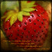Berry Starr Photo 2