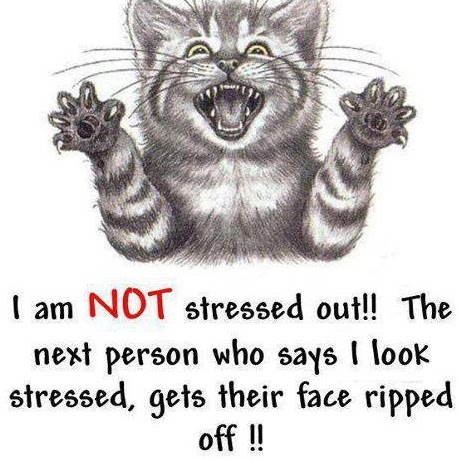 Michael Mayne Photo 29