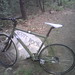Scott Fenner Photo 21