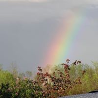 Rita Summers Photo 13