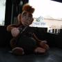 David Patrick Photo 5