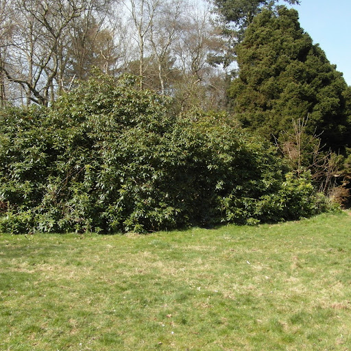 Karin Larsen Photo 32 Karin Larsen Photo 32