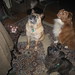 Colleen Cowan Photo 19