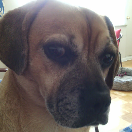 Barbara Estrada Photo 3