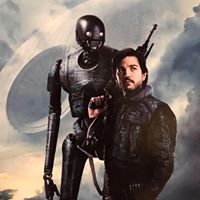 Roger Mccune Photo 6