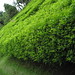 Nancy Hedges Photo 27