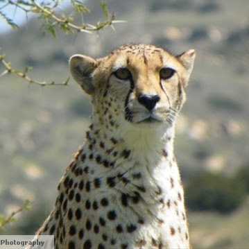 Kathy Mackenzie Photo 29