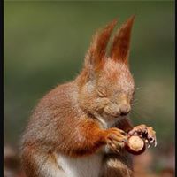 Brian Winnett Photo 3