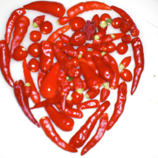 Pauline Munoz Photo 7