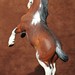 Donna Kroll Photo 14