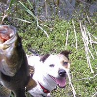 Lucy Carpenter Photo 28