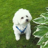 Nancy Thayer Photo 15