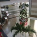 Erin Mills Photo 15
