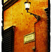 Kelly Freund Photo 7
