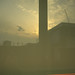 Louise Blum Photo 14