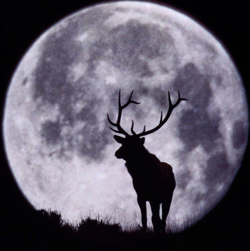 Paul Sharp Photo 38