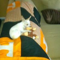 Pamela Mcbride Photo 11