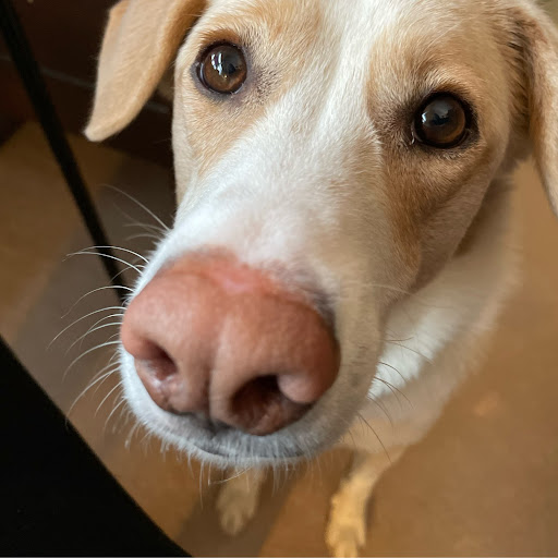 Jack Morgan Photo 46