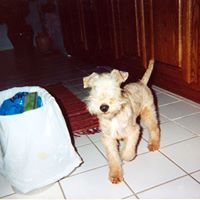 Deborah Kauffman Photo 12 Deborah Kauffman Photo 12