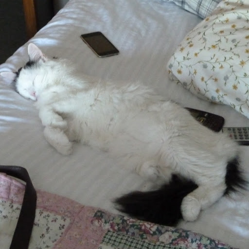 Kathleen Houser Photo 5