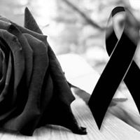 Eric Monroy Photo 13