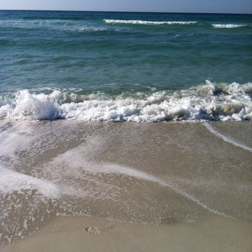 Claudia Stephens Photo 5