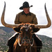 Fred Dry Photo 7