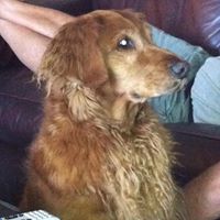 Betty Leonard Photo 28