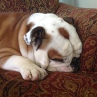 Thomas Parisi Photo 25