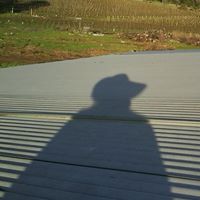 Ann Cavanaugh Photo 14