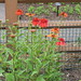 Lisa Naumann Photo 26