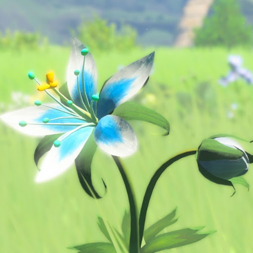 Barbara Estrada Photo 2