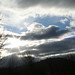 Suzanne Phillips Photo 20