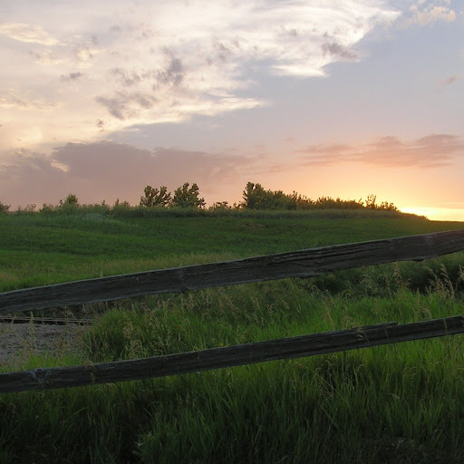 David Hoppe Photo 40