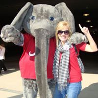 Vicki Harris Photo 30 Vicki Harris Photo 30