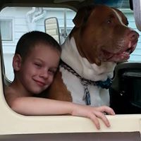 Staci Hayes Photo 27