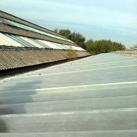 Dennis Conroy Photo 35