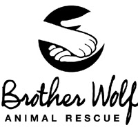 Renee Curtis Photo 21