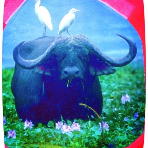 Debbie Rasmussen Photo 2