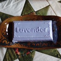 Donna Tracy Photo 18