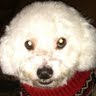 Nancy Burkett Photo 12