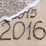 Steve Potts Photo 29 Steve Potts Photo 29