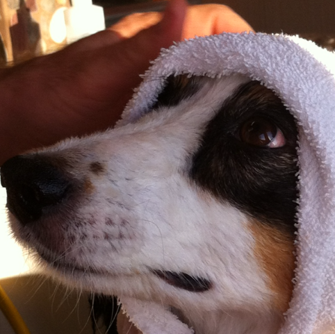 Steven O'Neill Photo 13