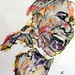 Betty Carter Photo 41